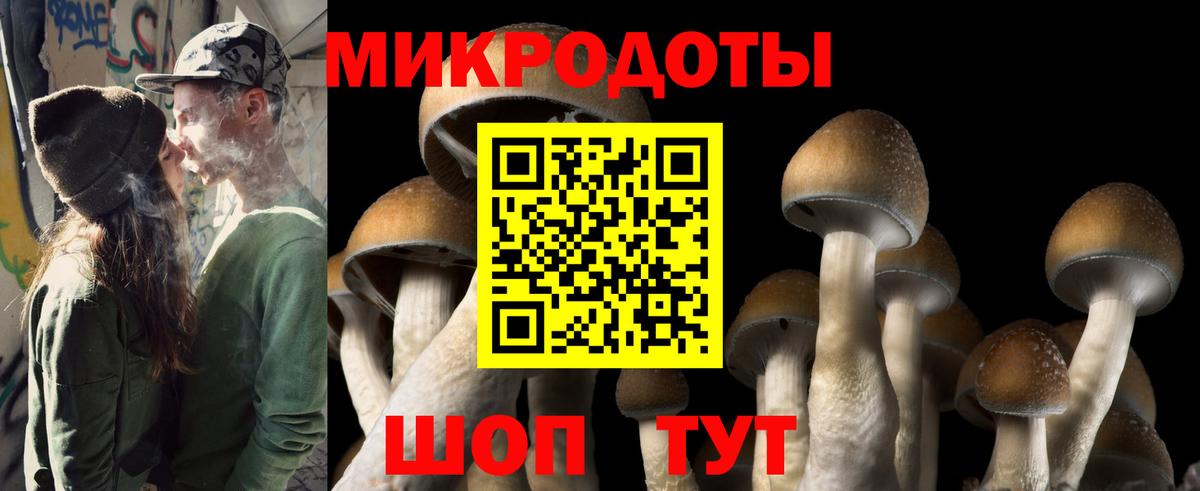 Галлюциногенные грибы мицелий  Вход с VPN  Торжок 